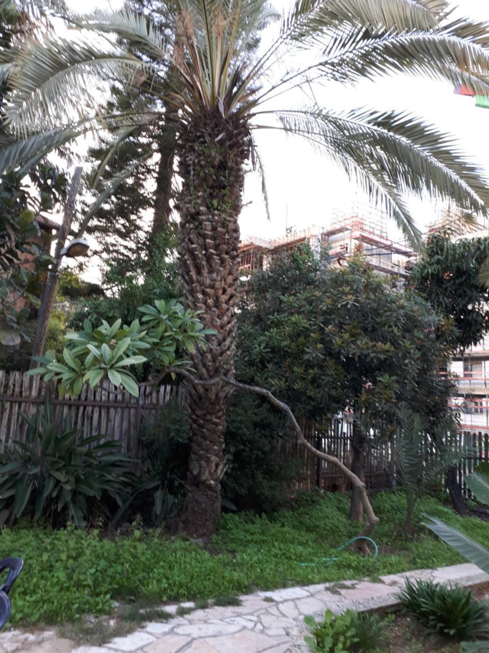 Hotel Etty'S House Petach Tikva Esterno foto